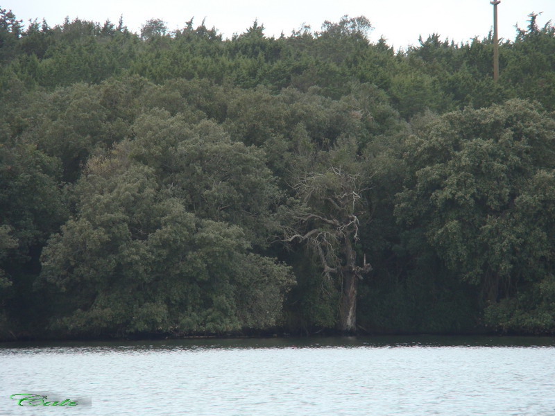 Parco nazionale del Circeo